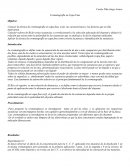 Practica cromatografía en capa fina