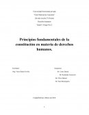 Tema#1 -Grupo Nro.2 Principios fundamentales de la constitución en materia de derechos humanos