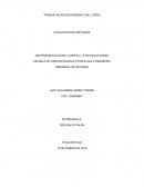 DESARROLLO DE LA ACTIVIDAD. INGENIERIA DE SISTEMAS