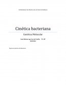 Cinética bacteriana