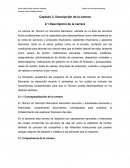 Capítulo. Descripción de la carrera.