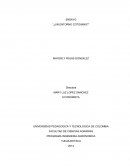 ENSAYO “¿UN ENTORNO COTIDIANO?”