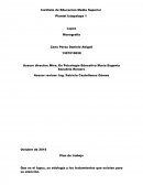 Plan de trabajo LUPUS