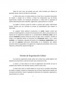 Los Niveles de Organización Celular