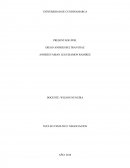 NEGOCIACION DE ISAGEN