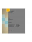 Diagramas de flujo y plan de pagos