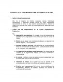 Teoría de la cultura organizacional.