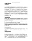 UNIFORMES ESCOLARES RESUMEN EJECUTIVO