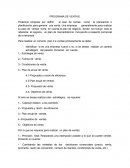 PROGRAMA DE VENTAS..