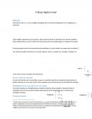 Trabajo Algebra lineal. Matrices