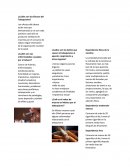 ¿Cuáles son Las enfermedades causadas por el tabaco?