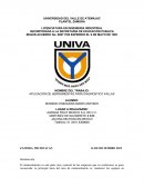 APLICACIÓN DE HERRAMIENTAS PARA DIAGNOSTICO FALLAS