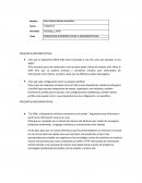 PREGUNTAS INTERPRETATIVAS Y ARGUMENTATIVAS