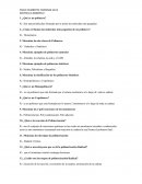 CIENCIA DE LOS MATERIALES. Polimeros