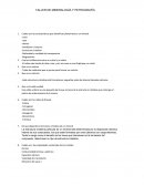 Taller sobre minerales