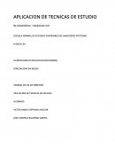 APLICACION_DE_TECNICAS_DE_ESTUDIO-22_01_2015.