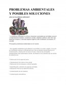 Problemas ambientales y posibles soluciones