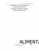 Cómo obtenemos la energía durante el ejercicio físico?