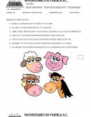 EXAMEN 2° INFO