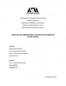 PRACTICA DE LABORATORIO “CALIDAD E INOCUIDAD DE LECHE CRUDA”