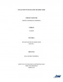 ENSAYO SOBRE INVESTIGACIÓN DE MERCADOS.