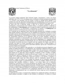 Universidad Nacional Autónoma de México- “La tafonomía”