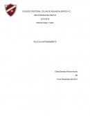 PELÍCULA INTENSAMENTE.