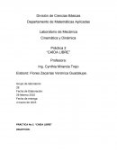 Practica caida libre