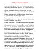La crisis del agua y la hidroponía como solución.
