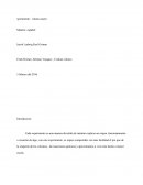 Como hacer un Volcan.