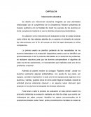 Se diseñó una intervención educativa integrada por seis actividades relacionadas con el cumplimiento de la competencia Resolver problemas de manera autónoma con la finalidad de medir los avances de los alumnos en dicha competencia mediante el uso de d