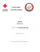 Presentado por Alumna: Carmen Alejandra Rodríguez Barrientos.