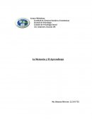 Al hablar de la memoria, tendríamos que primero definirla. Por lo que podemos decir que la memoria es una función del cerebro y, a la vez, un fenómeno de la mente que permite al organismo codificar, almacenar y recuperar la información del pasado. Es 