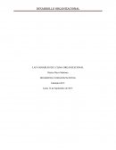 Las cinco variables internas que determinan el clima organizacional