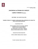 DINÁMICA FAMILIAR Y VALORES Y SU RELACION CON LA PRESENCIA DE CONDUCTAS DELICTIVAS EN ADOLESCENTES