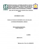 TEORÍA DEL PROCESO DE ENFERMERÍA DE IDA JEAN ORLANDO