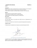 Dinamica modelo matematico proyecto.