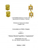 MÓDULO DE MÚSCULO ESQUELÉTICO Y TEGUMENTARIO