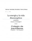 La energía y la vida Bioenergética