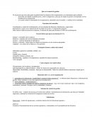 Que es el control de gestión