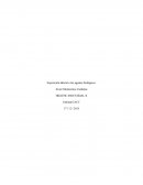 Exposición laboral a los agentes biológicos.Centrándose en el área de la salud, en relación al VIH: