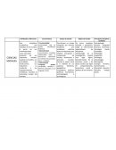 CIENCIAS SOCIALES Y NATURALES