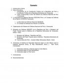 Estado, seguridad y defensa nacional.