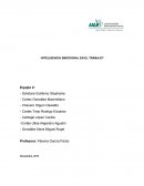 INTELIGENCIA EMOCIONAL EN EL TRABAJO. Equipo 2