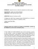 UINTO DEL CIRCUITO DE FAMILIA DE MONTERÍA