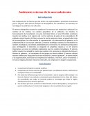 Está compuesto por las fuerzas que dan forma a las oportunidades o presentan una amenaza para la empresa.