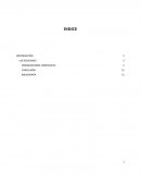 LAS ORGANIZACIONES SOCIALES, CONTABLES.