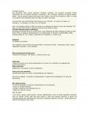 Soy divertido, feliz, buena persona, honesta, cariñosa me encanta compartir lindos momentos con mi familia, estudiar, conversar y dar consejos, ademas me gusta cantar, bailar . Me da coraje la gente que trata mal al resto y que se cree superior a ellos.