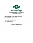 Procesamiento de aceites, cereales y sus derivados