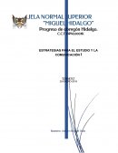 ESTRATEGIAS PARA EL ESTUDIO Y LA COMUNICACIÓN I “ENSAYO”